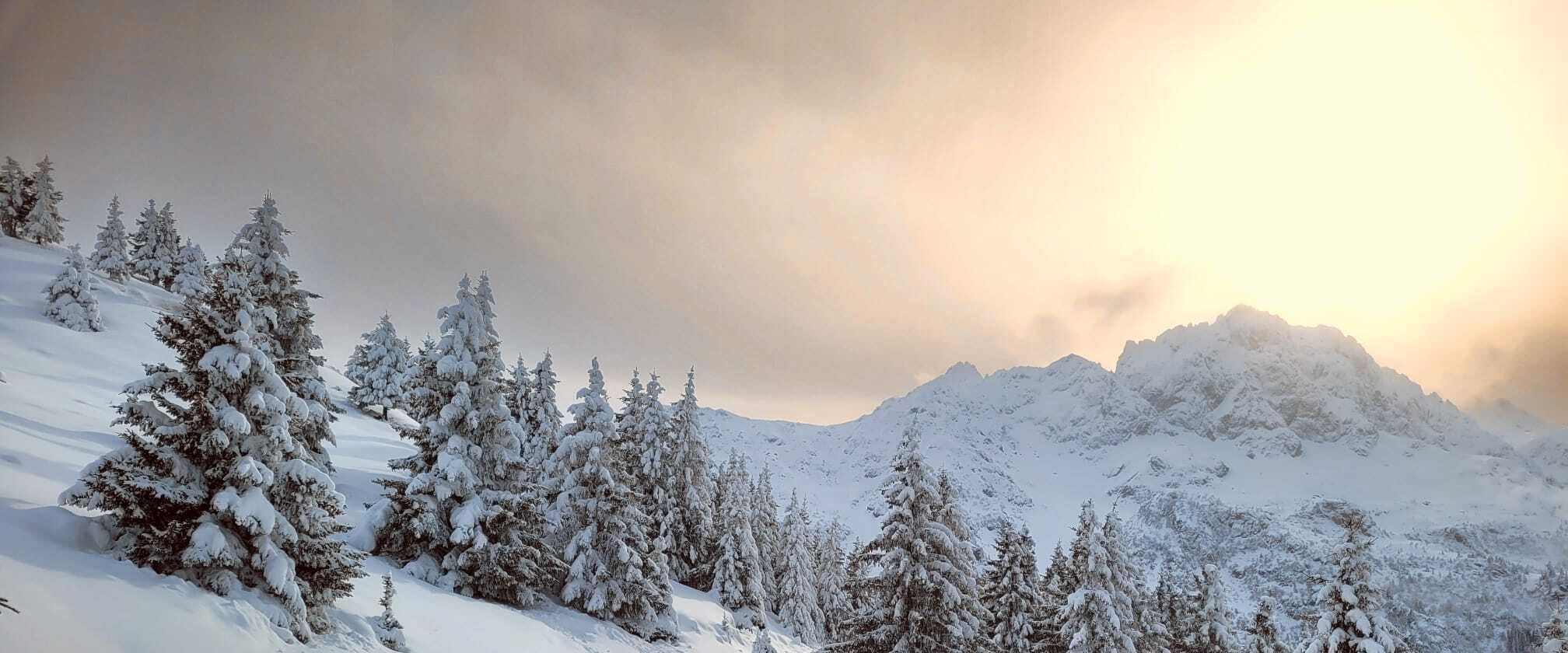 Vue panoramique de Grenoble avec les montagnes en arrière-plan, siège de Haxolead